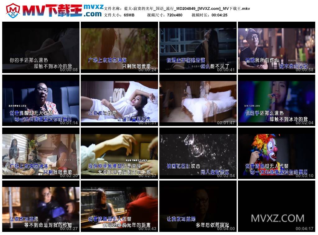 蓝大-寂寞的光年_国语_流行_MD204849